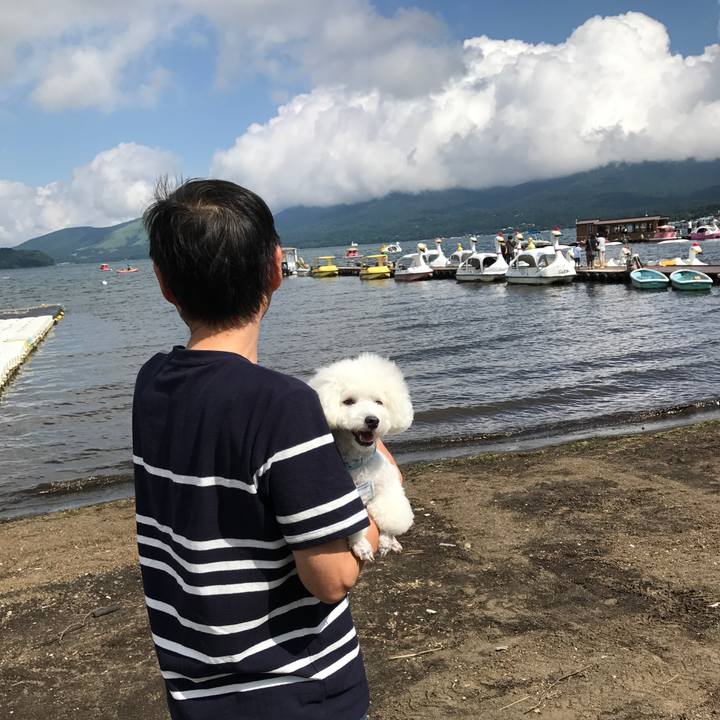 A775d089 fb95 4701 b7c2 0e295a0f8ed5