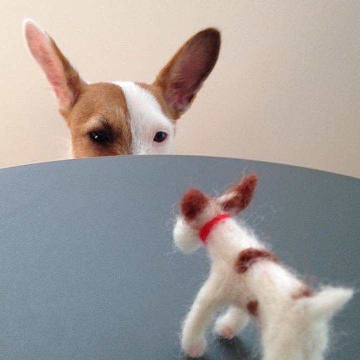 A7766431 86a8 4c51 b4b3 f2dbb15978c9