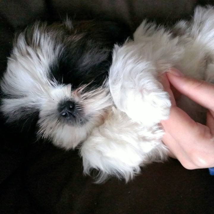 A77682b6 39c9 46dc b898 70d7c1ed28d7