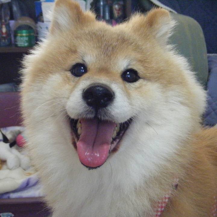 A776adba abd7 4f72 8083 980018ed6032