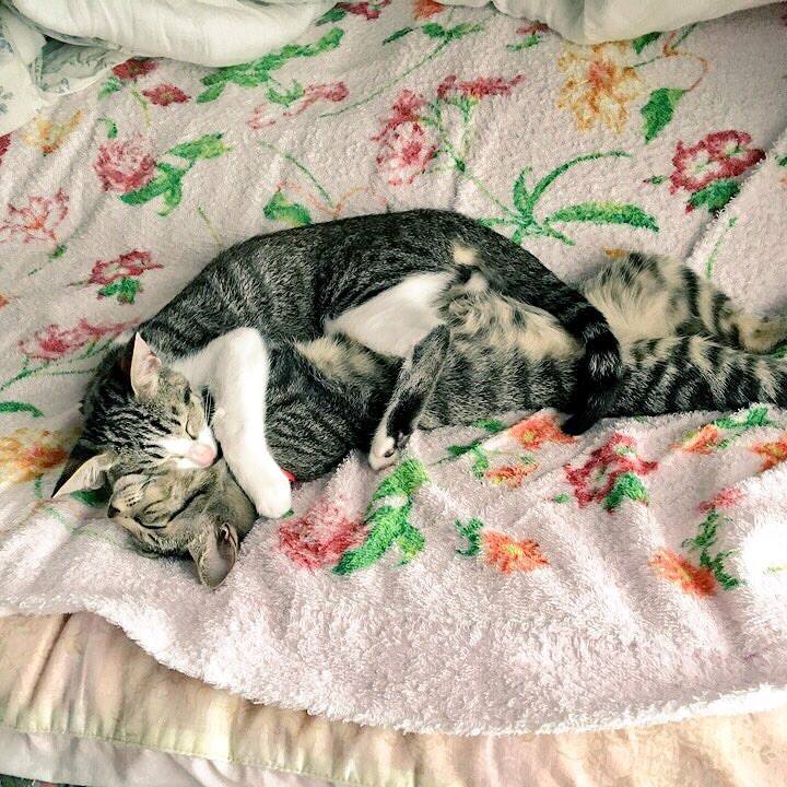 A776c6a9 4508 4804 abf8 579b794fb84c