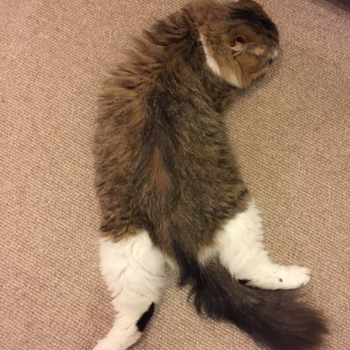 A7777b77 a4ce 4da0 8f68 0dd2300da657