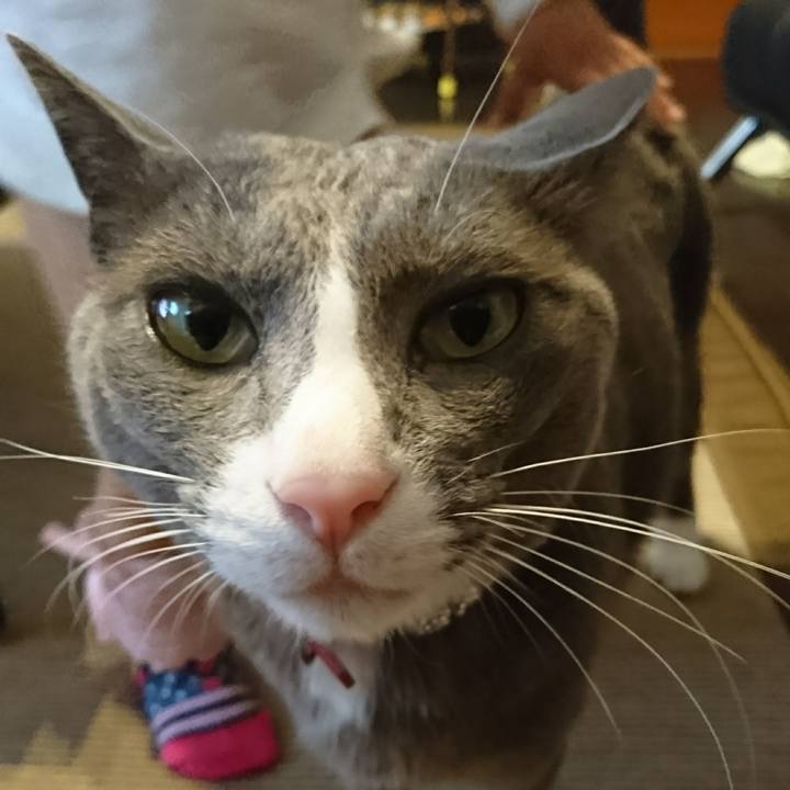 A777aef4 a2b2 4b65 b5b6 e5a3de737947