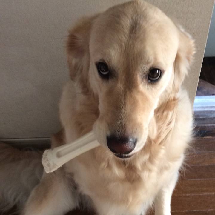 A777f05c 14c6 4551 a45f 09d16081be86