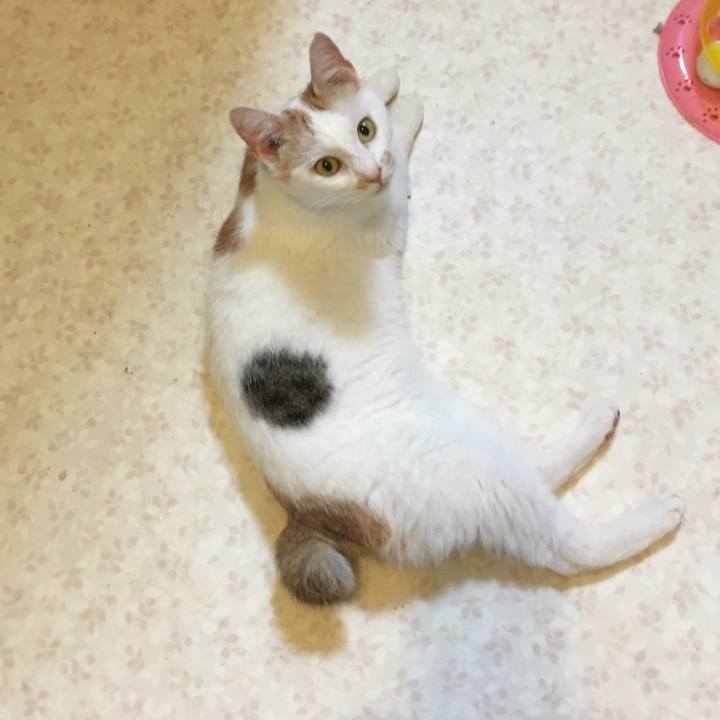 A7781864 59d0 42a4 b8c6 4722debf989a