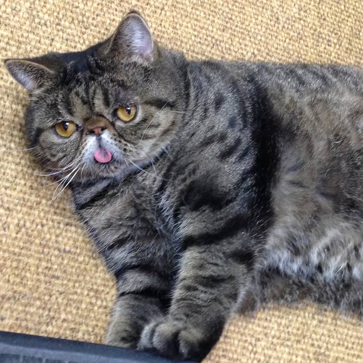 A7781e30 9942 468d 83ec ed4e80de9de0