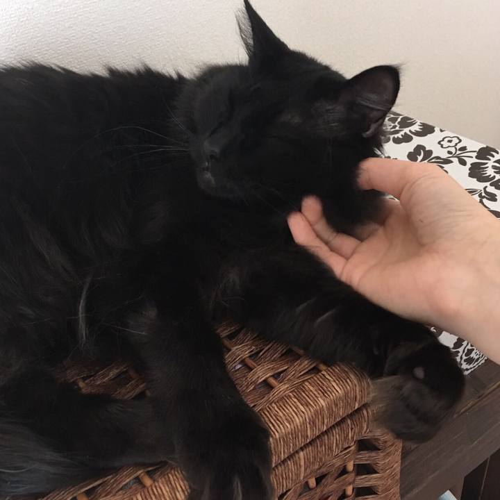 A778e815 0e03 404d 9a17 158a6e9bad59