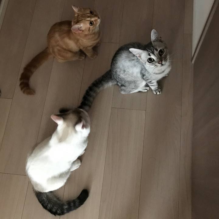 A7795675 7997 4595 9790 d85fa4f62600