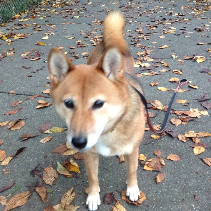 A7797355 cff5 4e0d aacc 3c0bce867919