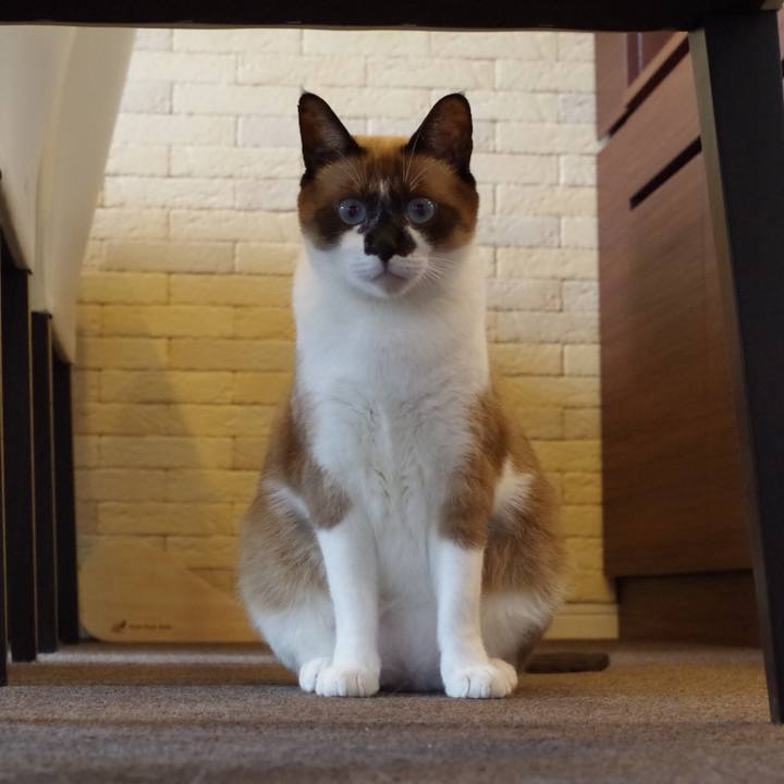 A7798b8d 51f6 4b85 bec0 5a73509c62c9