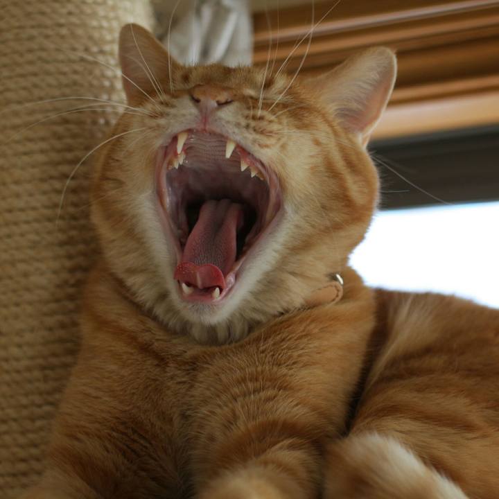 A779dc92 4e4a 4df6 a938 de9687d02d71