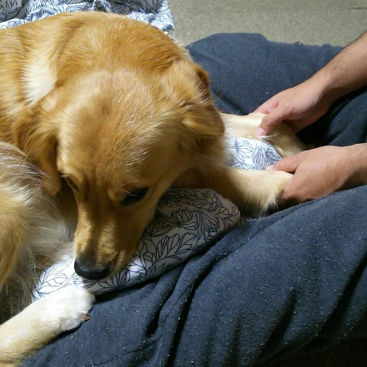 A779f487 2263 4f14 8424 3daa77132c80