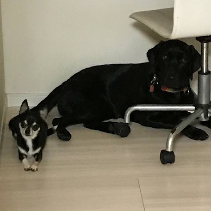 A77a7c04 0745 4825 a747 864a307e82df