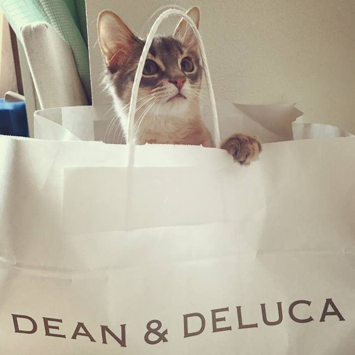 A77a8b95 c876 47a5 aa1a 2fdd905c5e60