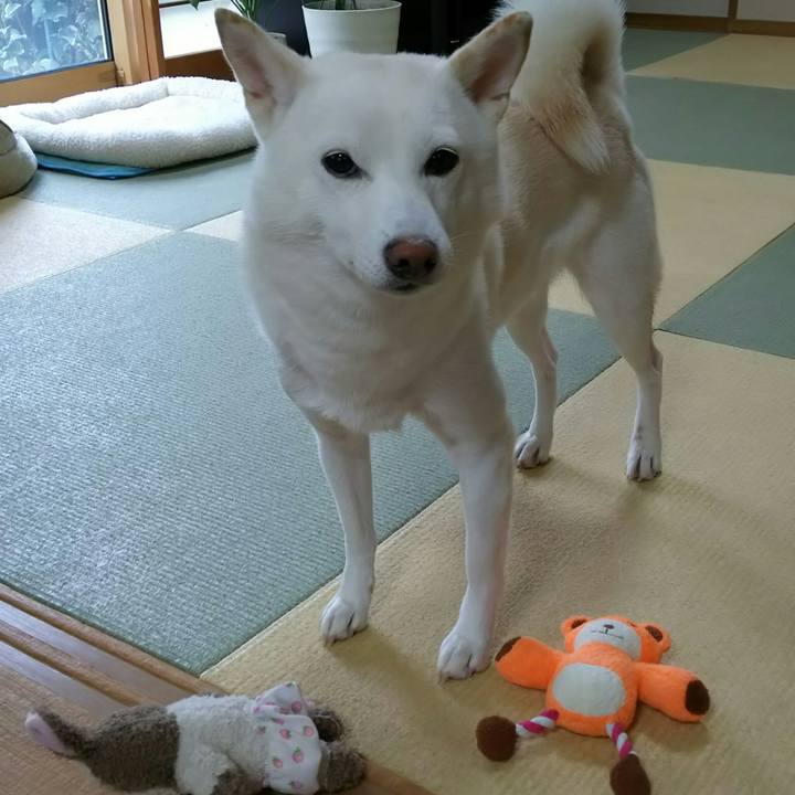 A77ba122 0e68 4a43 bc40 26a82f5b4341