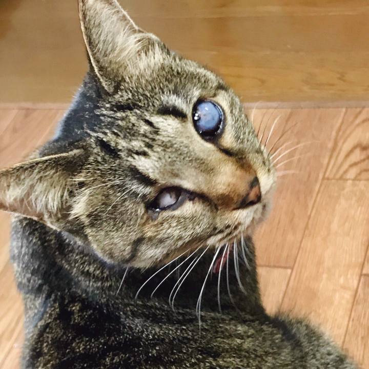 A77bbce6 5eed 4dea bf19 47f3c56521ab