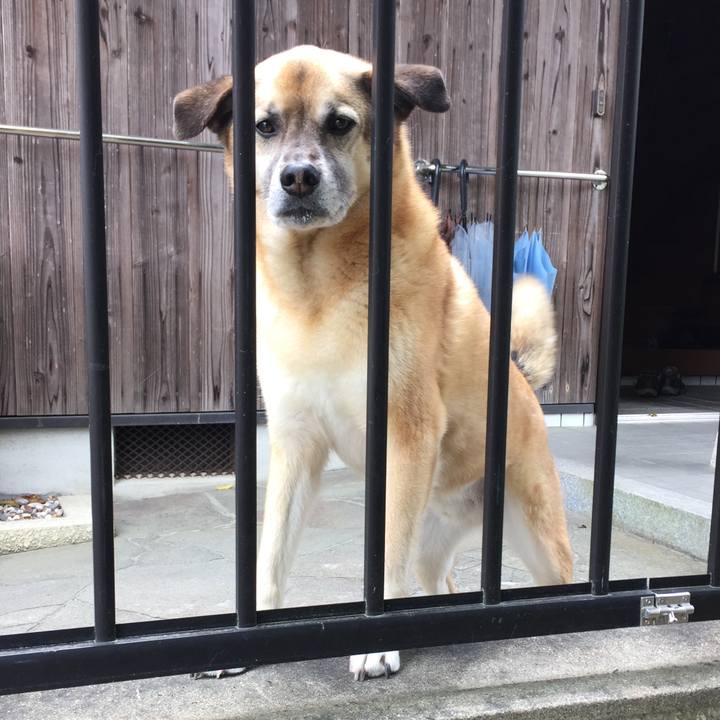 A77c6b55 afc9 4134 ad84 f4d4c1615ff7