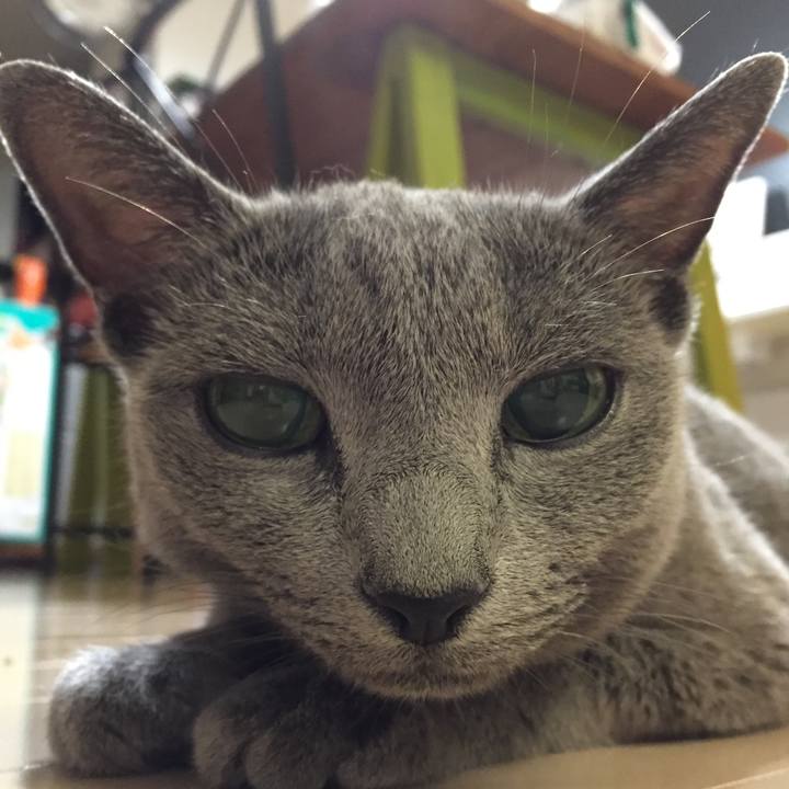 A77c7f8e 89b7 4a21 8914 2baac092fce1