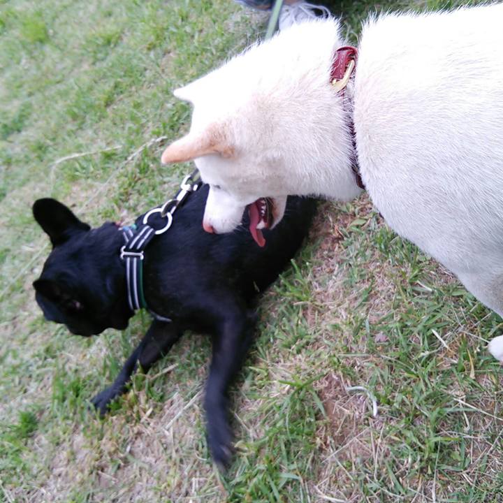 A77cb47a c55a 4ee4 8be9 69bb0355cb7a