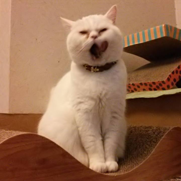 A77d4cfd d14e 4fa1 920a 4af14c95bf0a