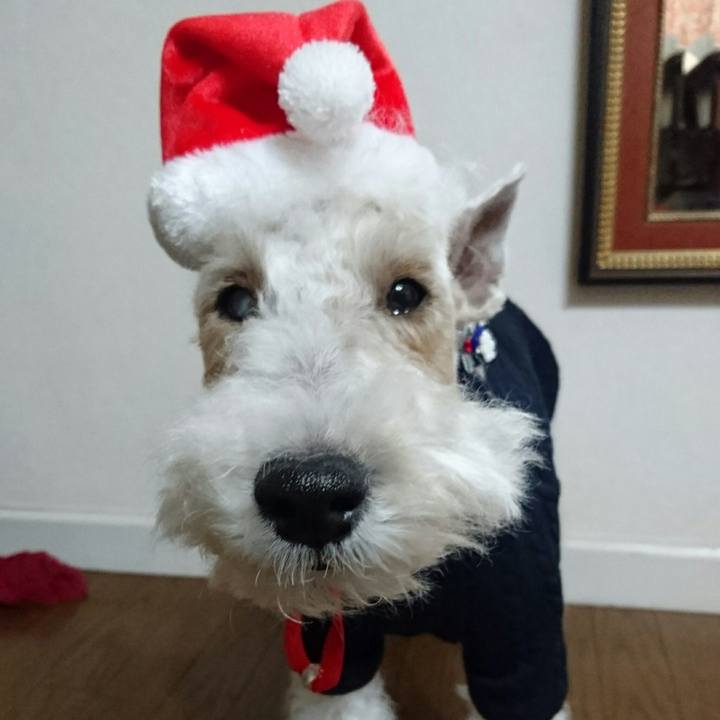 A77df1d1 c166 417c 81e0 a5243feddc37