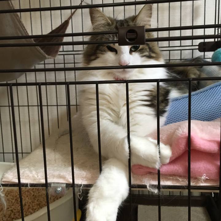 A77e3e12 415e 48f9 96b3 1dc587eae700