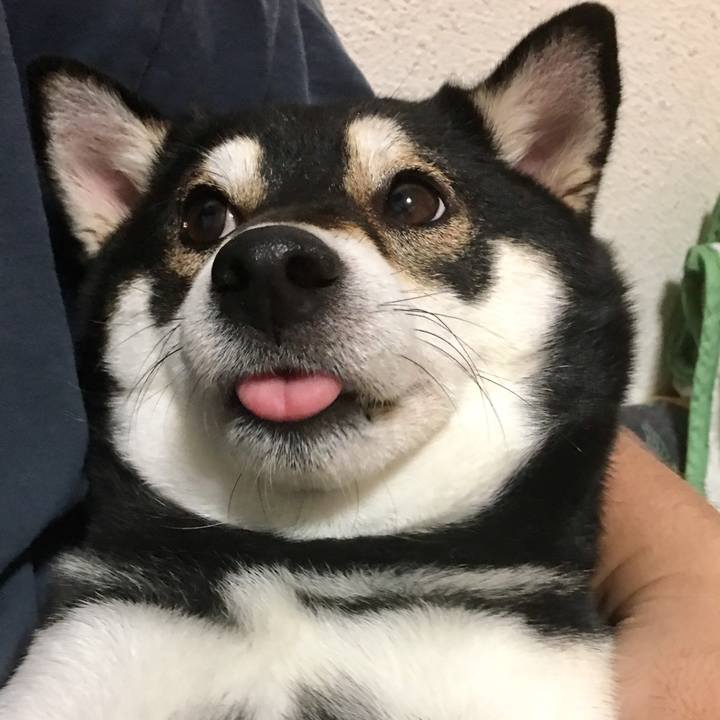 A77e4a3a 77d8 493d ae44 5421b0114c18