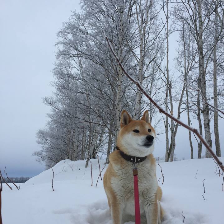 A77e9634 76df 448e 8be1 f0ae21e20624