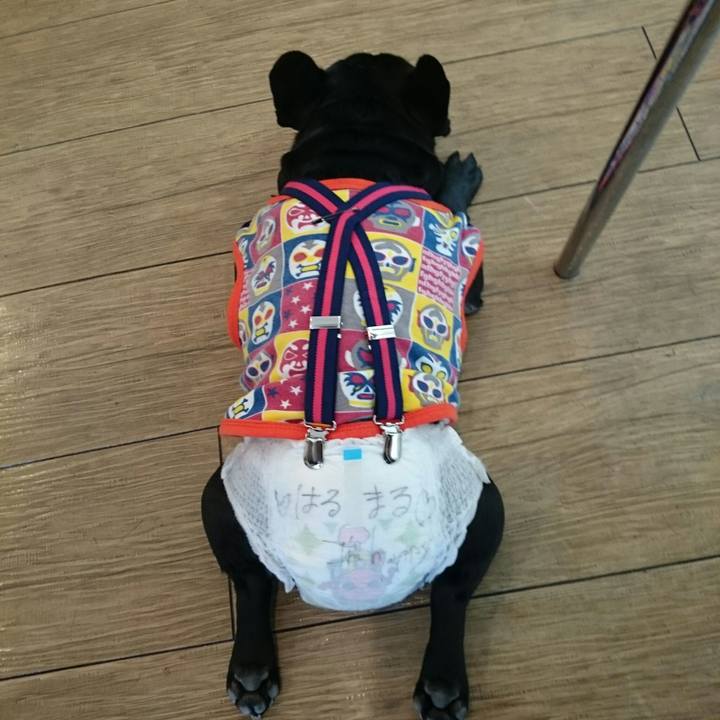 A77ef1dc f290 49d2 a8c4 6e0e349f5112