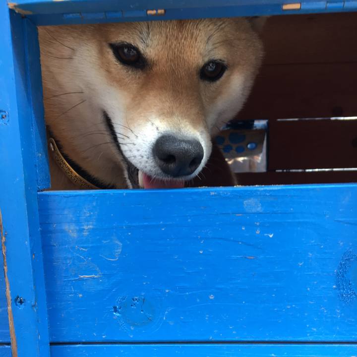 A77f112f a28a 49cb 8c1e fcac5847857f