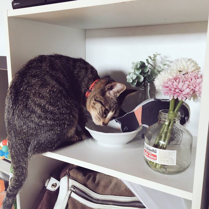 A77f842d 0d2b 4fe9 81ab f359cc1e2fbc