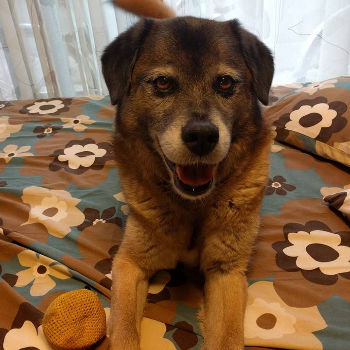 A77f8500 e4a2 4047 9092 57da74d771bb