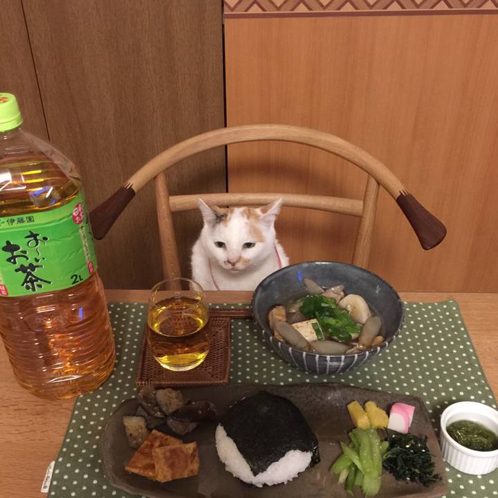 A77fc56b 3670 4203 8a5c 6f6dbf2c3136