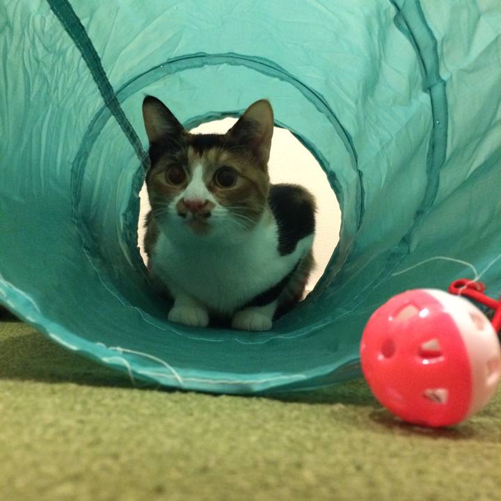 A77fd966 7f6a 4bde 886c 8478342e9143