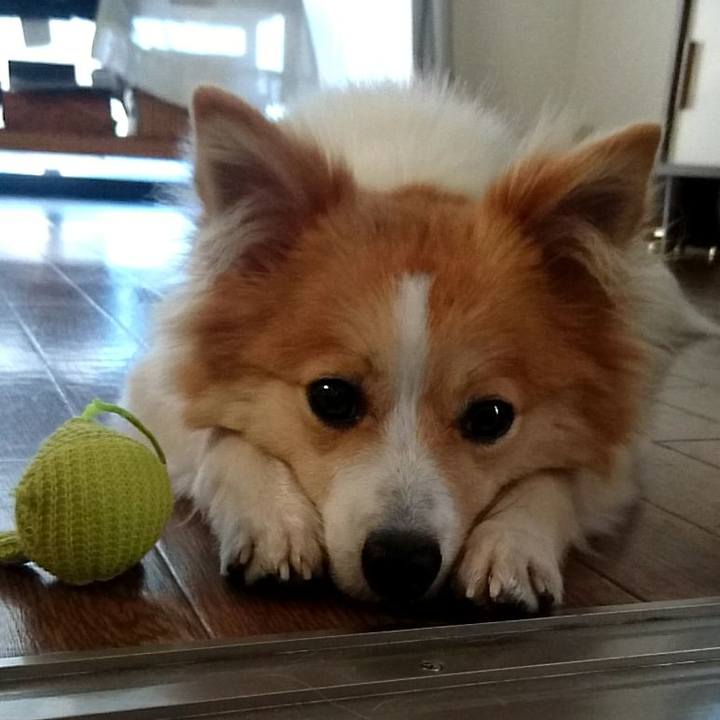 A7802aca 1b88 4e78 8fe0 4799fbbe9076