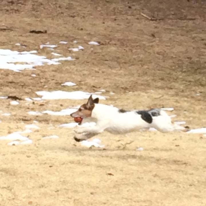 A780e197 f0e6 42df b601 7ce3b2695e5c