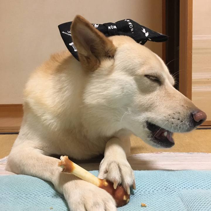 A780e2d6 dea3 4c71 9961 37253e2a5782