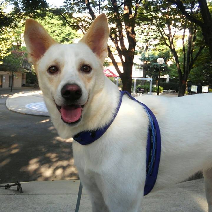 A78103ee 3b0d 4412 9178 10d2a355c3fd