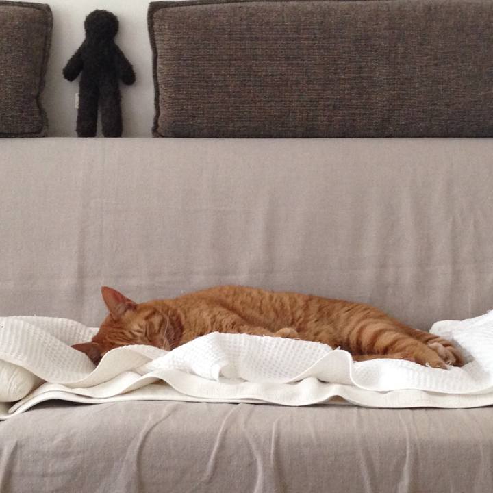 A78131f2 79d5 4593 8e1c fe507356d750