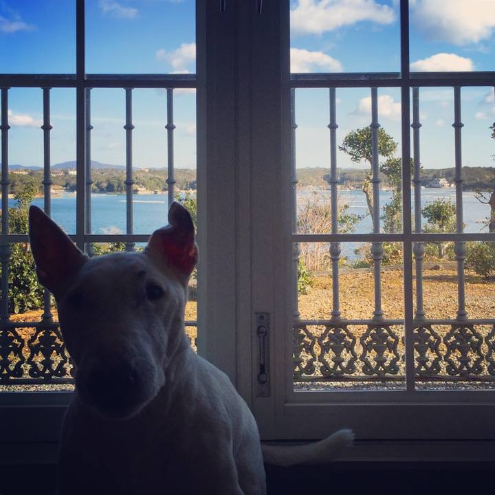 A781aeef 7ab8 47a7 a620 3ea8105def87