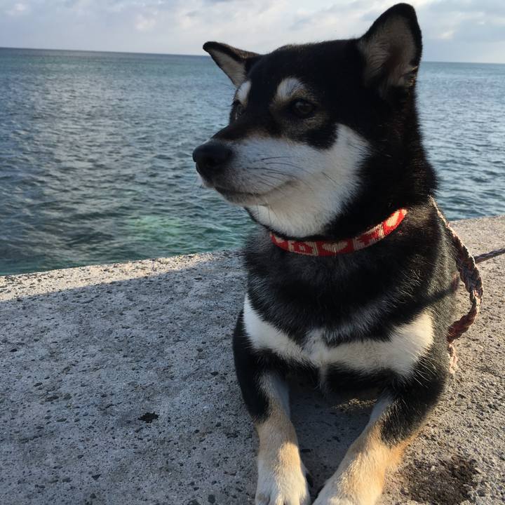 A781ccbd dbd3 4545 9d75 05e2e1a00d75