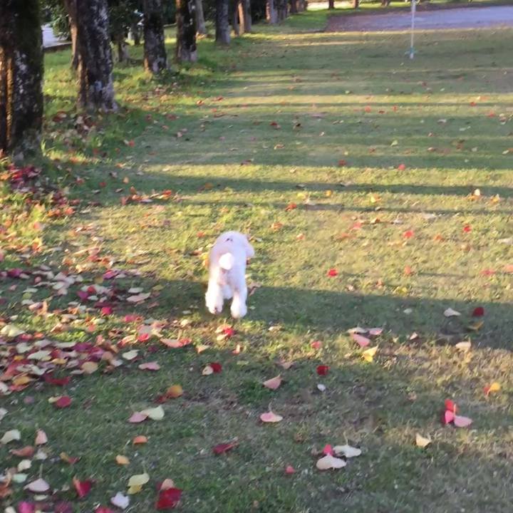 A781fea7 576a 4602 bba6 56351e0dbdf9