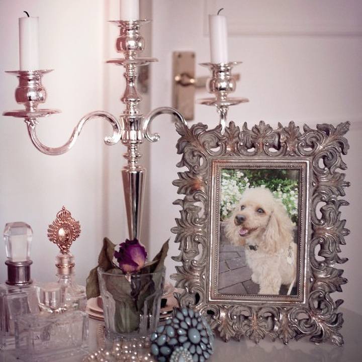 A78266bf 0bf7 4066 8962 b5bb500974cb