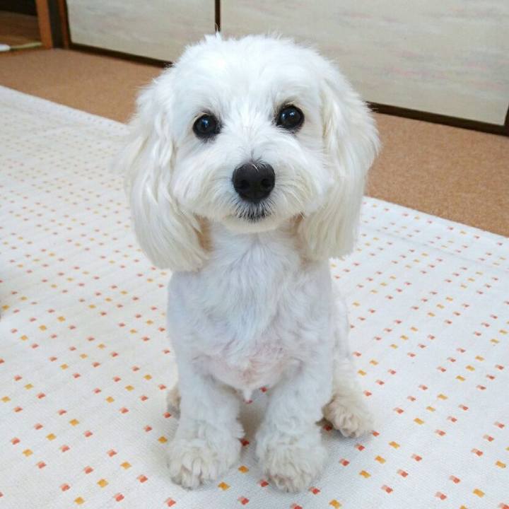 A782bda6 3979 4ecb a6d2 14a80e84590b