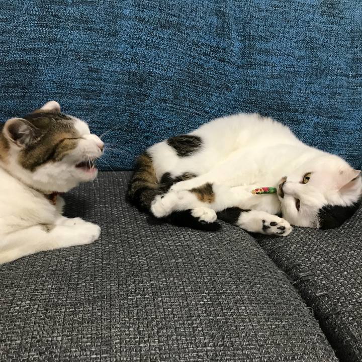 A7832ff8 945c 467a 966e d808fab8c832