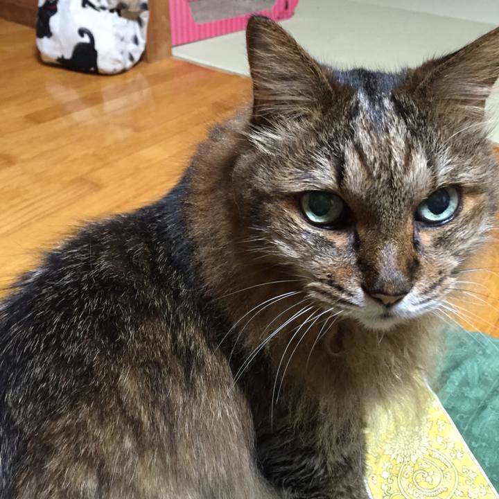 A783f96b 7caa 4463 841d 5d6811839935