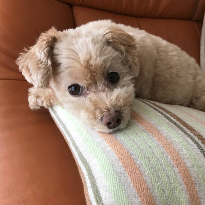 A784184c 3740 476a 9884 73bcf990227f