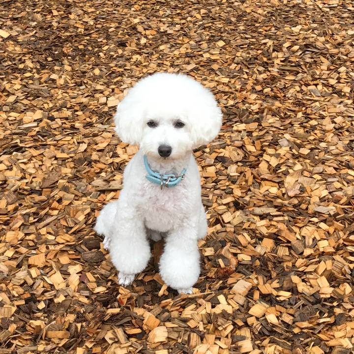 A7843439 355d 4565 90c9 400dde6a9d07