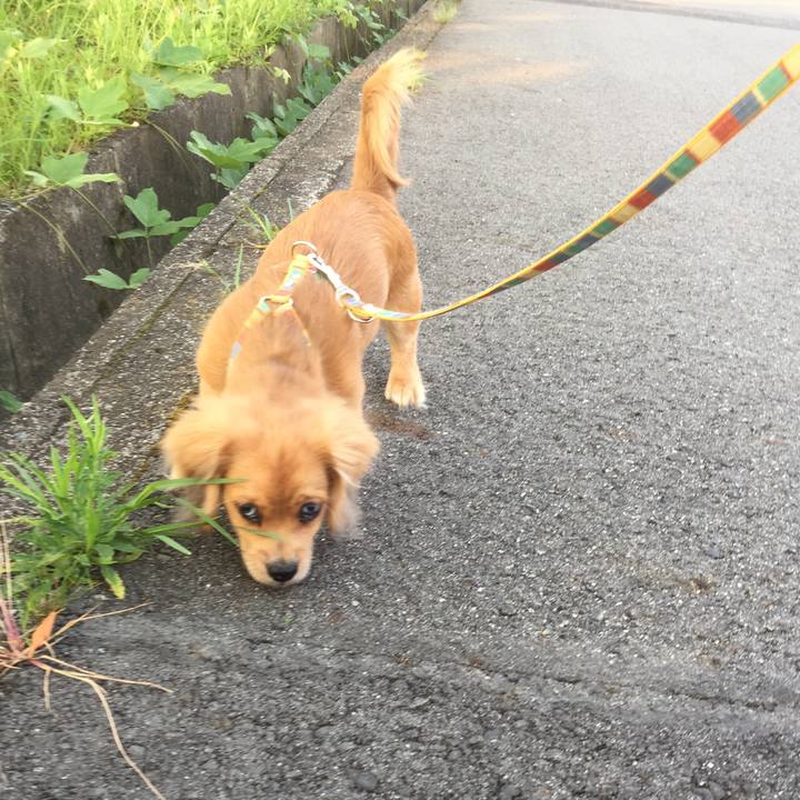 A784efda 2224 42aa ab09 bf82ba74a100