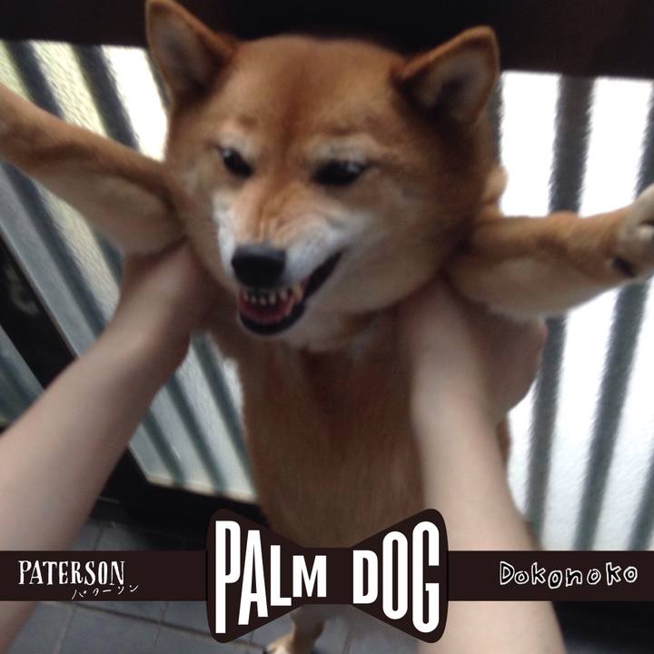 A7865a31 d581 4665 b5d6 1fea1660d50d